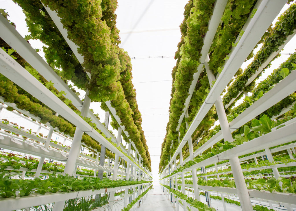 what is vertical farming
