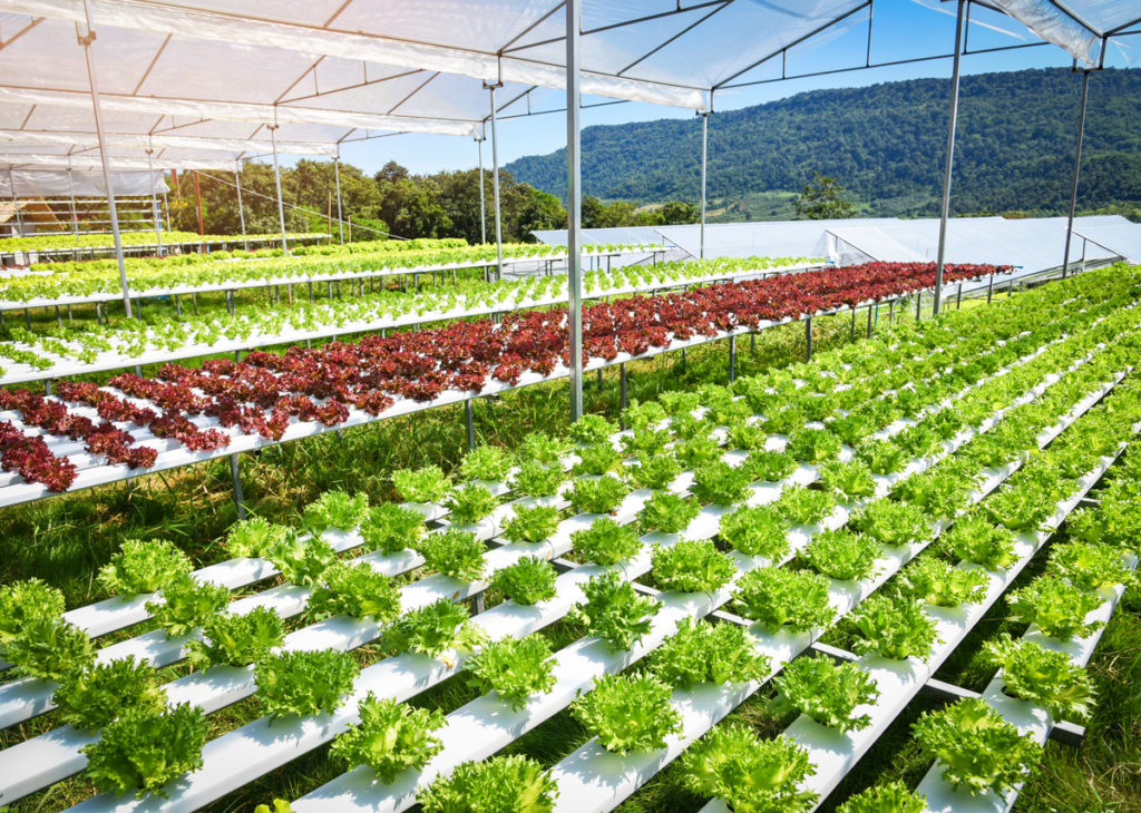 How is vertical farming impacting on climate change?