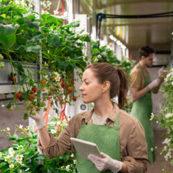 what does the future of vertical farming hold