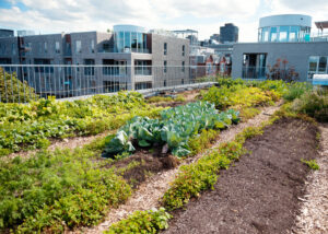 how does urban farming make a city more sustainable