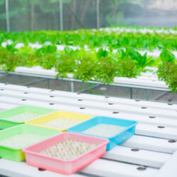 what is hydrogel used for in agriculture
