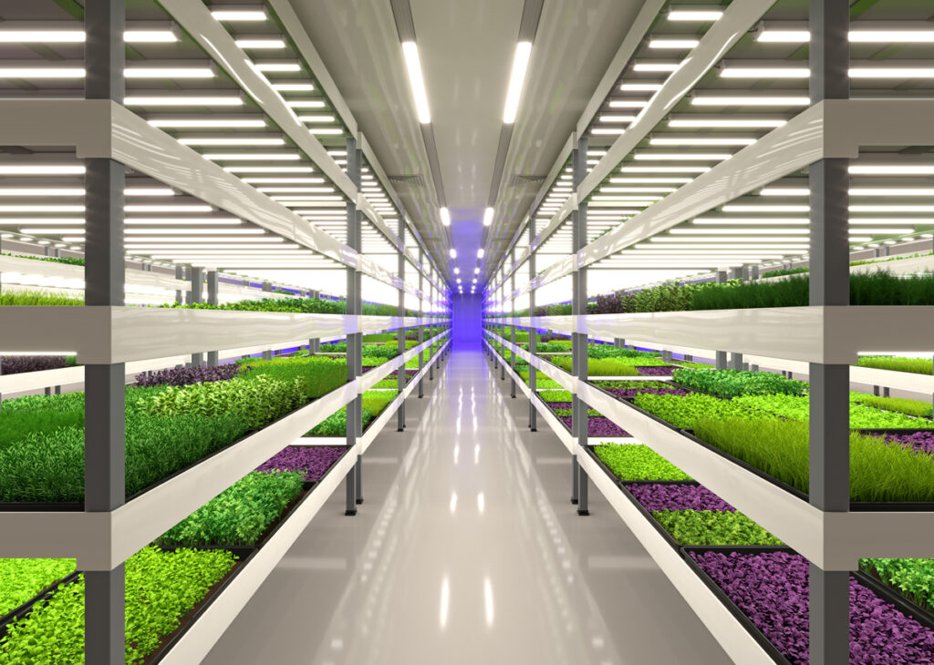 Why is CEA considered to be the future of farming?