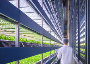 Four ways in which vertical farming benefits our environment