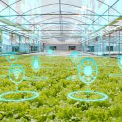 a key player in controlled environment agriculture (CEA)