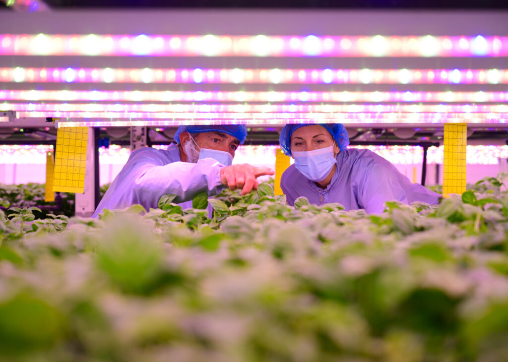 can vertical farming solve the worlds food crises