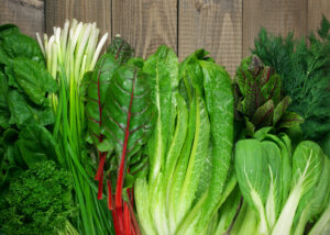 the science behind the greens how gelponics maximises nutrient density